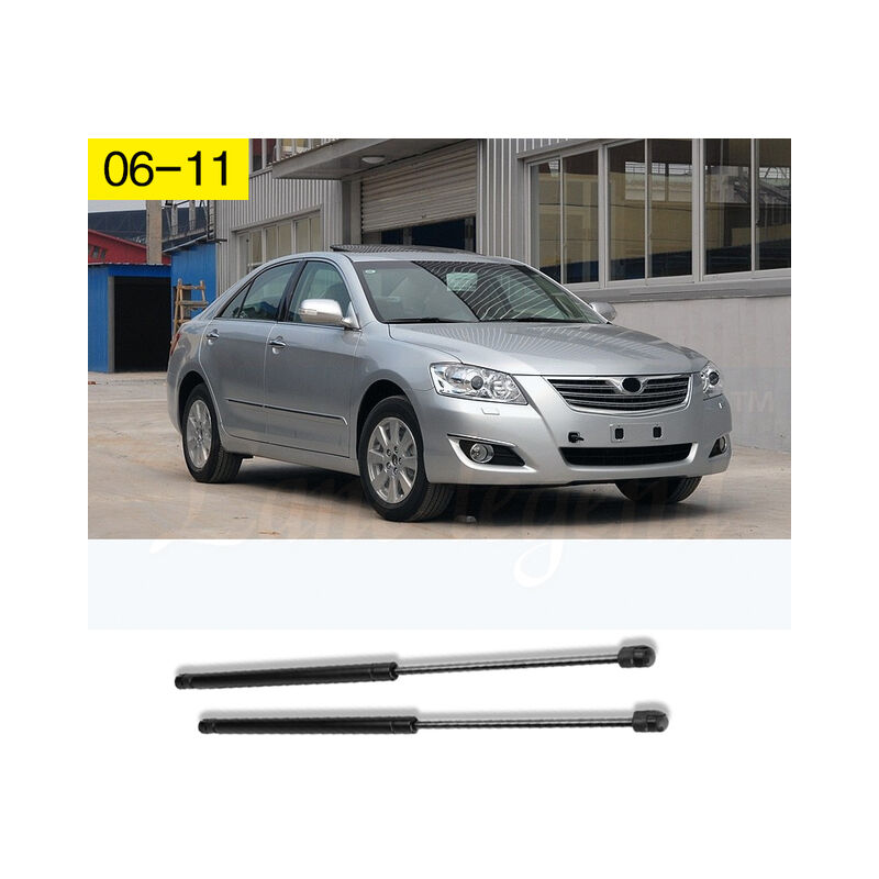 Ammortizzatore di sostegno dell&39ascensore del