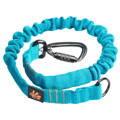 Amortiguador JoQu® Strong para perros grandes, color turquesa