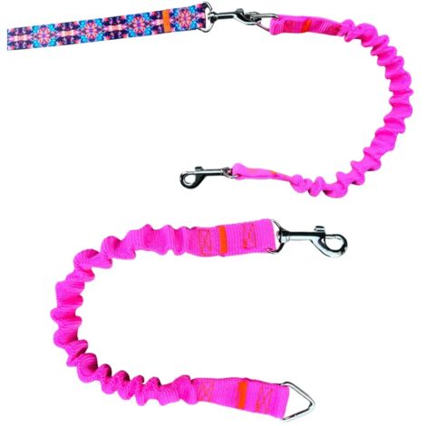 Amortiguador para correa de perro correa deportiva tradicional ROSA NE脫N