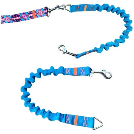 Amortiguador para correa de perro TURQUESA correa deportiva tradicional