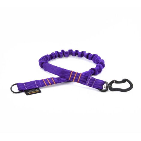 Amortisseur JoQu® Strong pour petits chiens Violet
