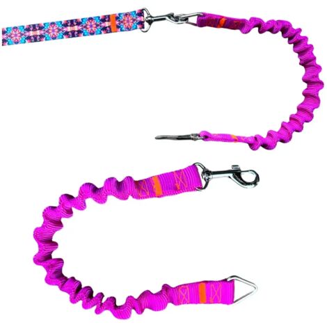 Amortisseur pour laisse de chien FUCHSIA laisse de sport traditionnelle