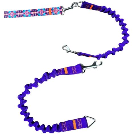 Amortisseur pour laisse de chien VIOLET laisse de sport traditionnelle
