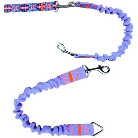 Amortisseur pour laisse de chien WRZOS laisse de sport traditionnelle