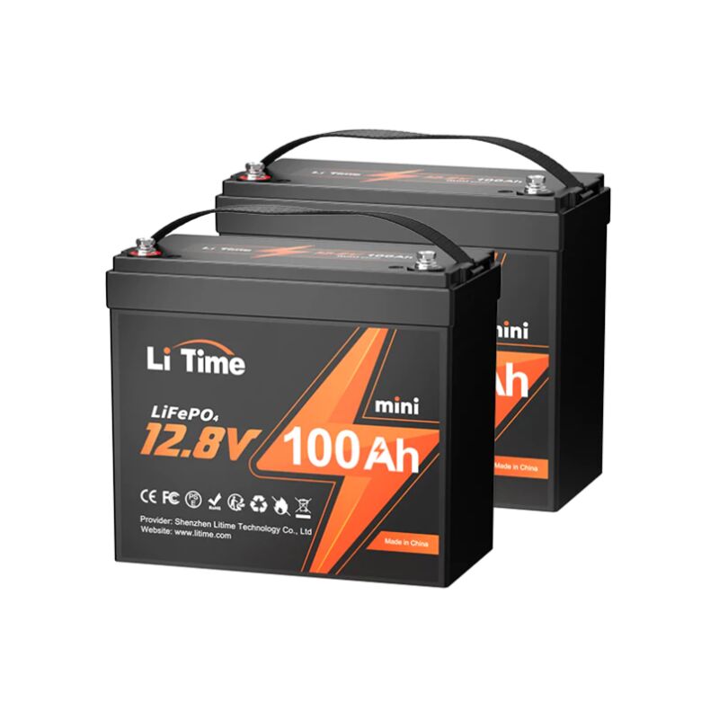 LiTime 12V 200Ah Batterie LiFePO4 Auto-Chauffage Lithium, Charge à basse  Température (-20°C) 4000+ Cycles, parfait pour RV, Système solaire, Camping