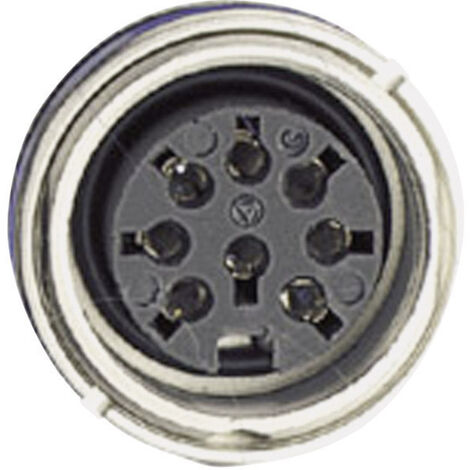 Amphenol C091 31N004 100 2 Rundstecker Buchse, Einbau Gesamtpolzahl: 4 Serie (Rundsteckverbinder): C
