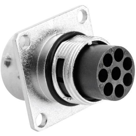 Amphenol RT0012-8PNH Cosse cylindrique mâle mâle, droit Nombre total de pôles: 8 Série (connecteur r