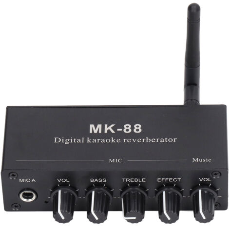 Amplificateur Audio Bluetooth 5.0 avec Effets Karaoké, Double Entrée Micro et Alimentation 12V