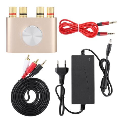 Amplificateur Audio Numérique Bluetooth 100W Stéréo Hifi Mini avec Prise UE