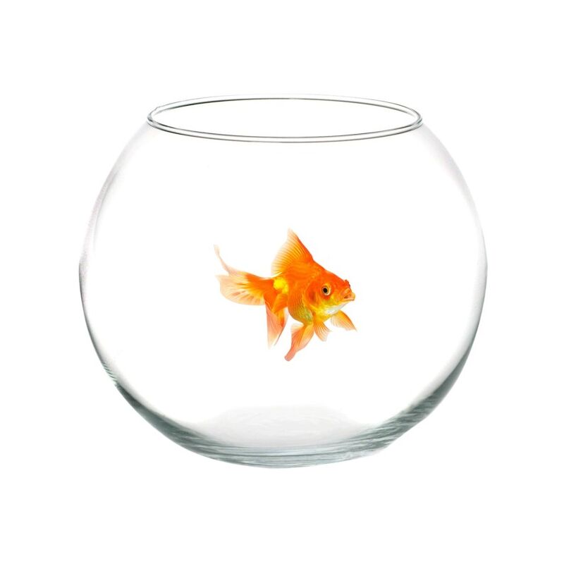 Ampolla Boccia Per Pesci In Vetro 16 Cm Acquario Pesce Rosso Centrotavola 3907