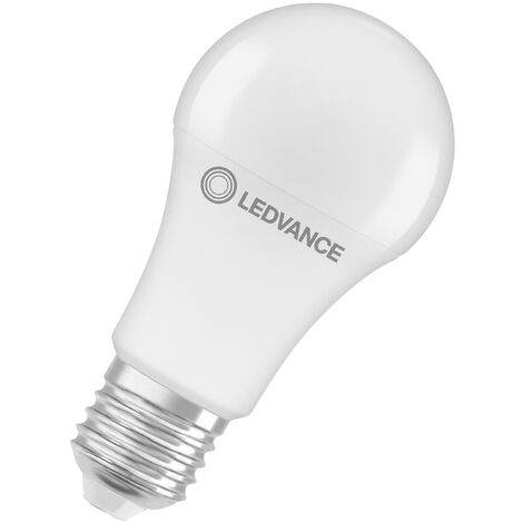 Ampoule Veilleuse Hélice Bio-Light AfterGlow 23W eq. 100W embase E27 1020  lm achat vente écologique - Acheter sur