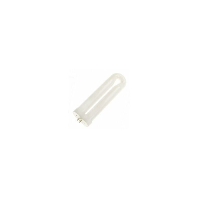 Ampoule anti insectes - 30W - 4 pins - G10q - FUL30T8BLK - Bailey
