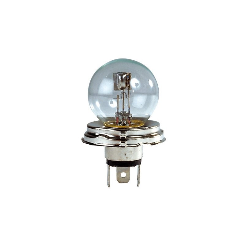 MAXTER Ampoule CE 24V P45 Blanc 55