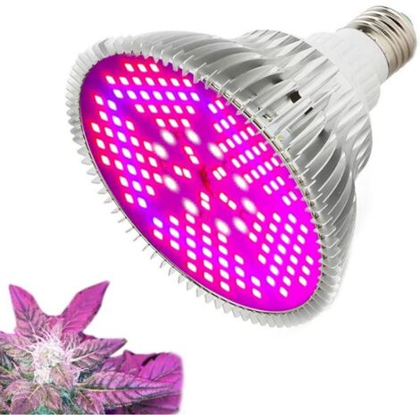 Ampoule de Croissance, Lampe à Spectre Complet pour Plantes d'intérieur, Serre, Jardin, légumes, semis, Fleur, succulente, hydroponique