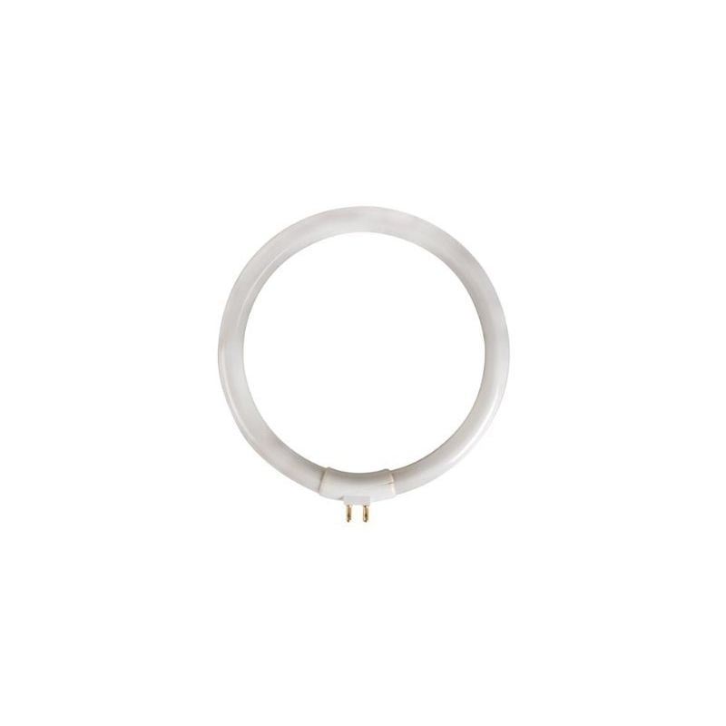 Ampoule de rechange de 12W/T4 pour VTLAMP10 electrical tools LAMP12/10