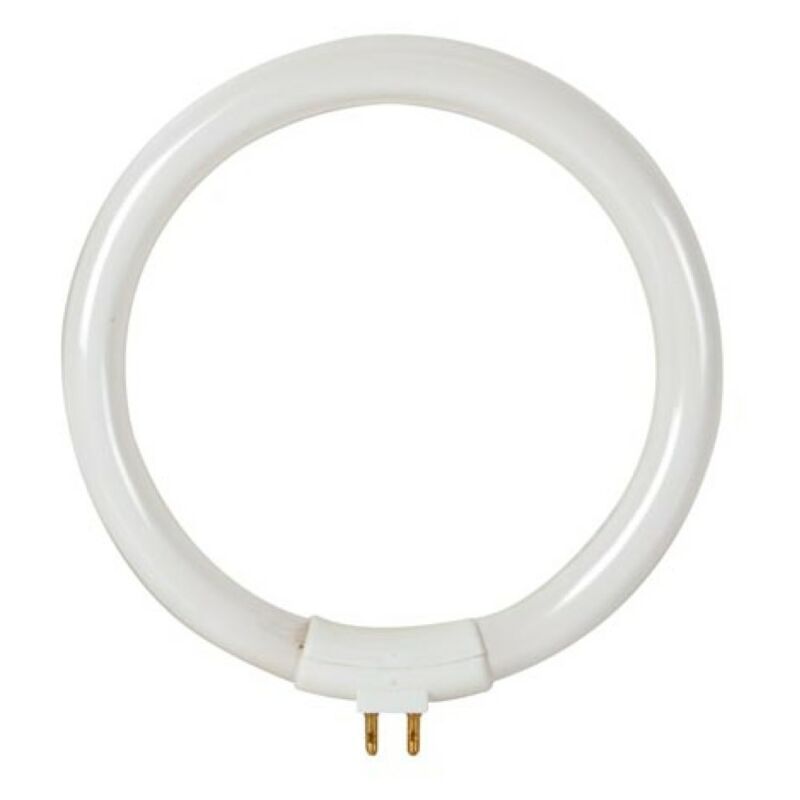 Velleman Lampe de rechange, 12 W/T4, pour lampe loupe VTLAMP8, blanc froid