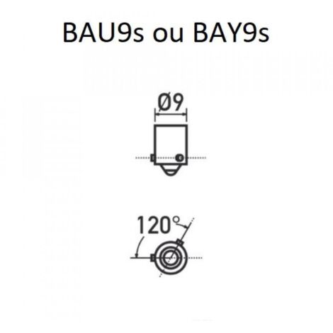 Ampoule Flosser pour auto moto 2V 21W blanche BAY9S / 6021 Neuf