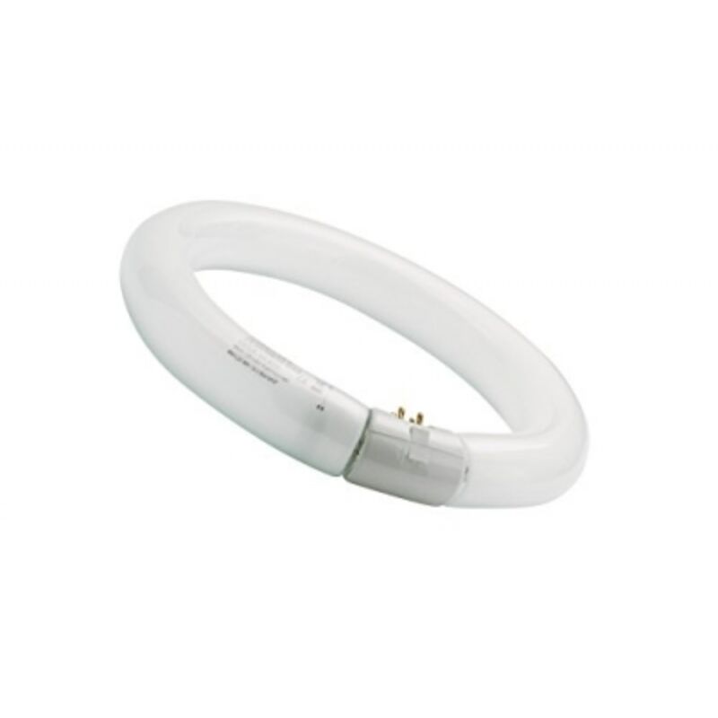 Circulaire 32 w 12 Blanc froid 840 - Sylvania