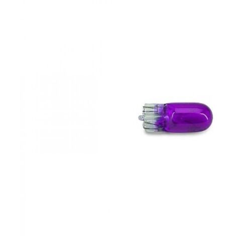 Ampoule Générique pour Auto 12V 3W T10 violette à l'unité Neuf