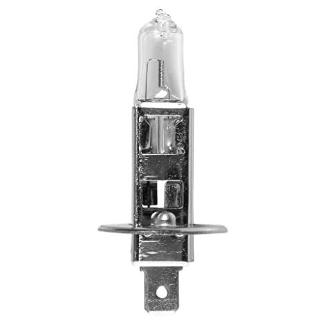 Ampoule H1 12V