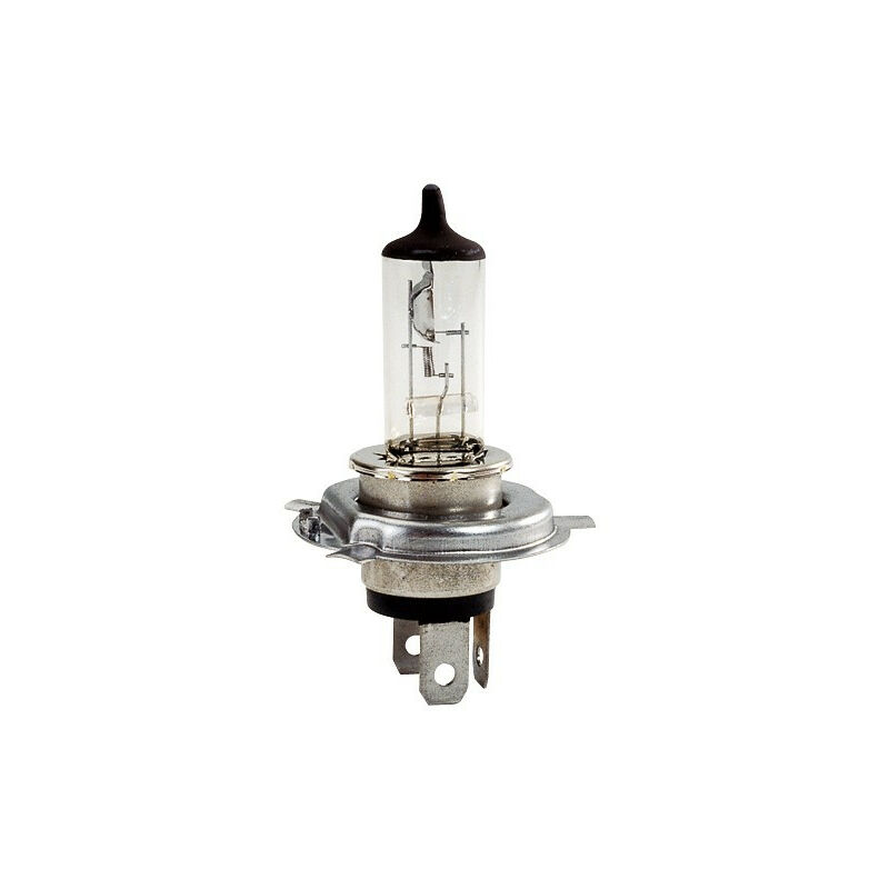 Ampoule H4 12V P43 60/55W