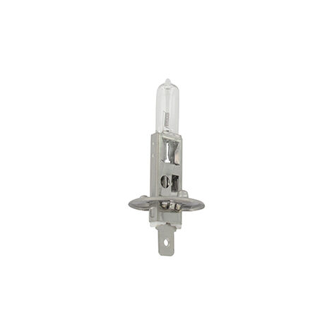 Ampoule Halogène 12v - 55w Modèle H1
