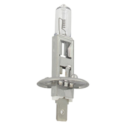 Ampoule Halogène 24v - 70w Modèle H1