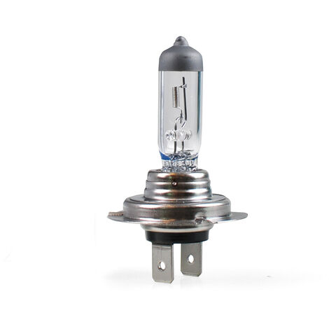 Ampoule halogene H7 PX26D 100W 12V
