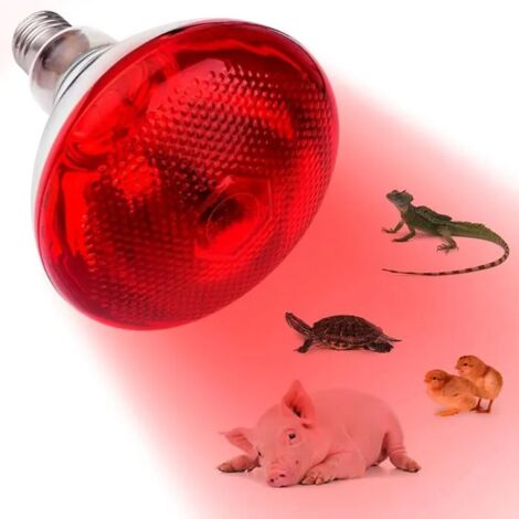 Ampoule infrarouge 250W E27, pour poules chiens cochons et animaux CHAUFFAGE