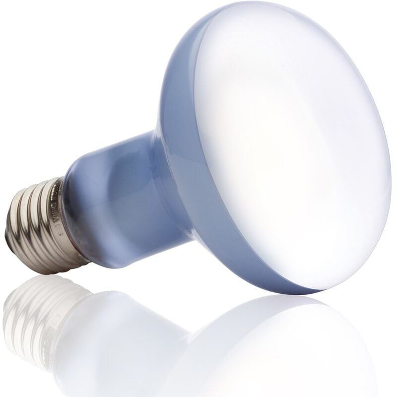 Exo Terra - daylight basking spot ampoule 100 w PT2133