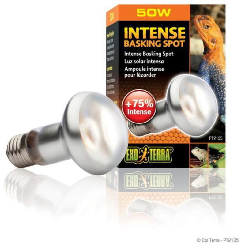 Exo Terra - intense basking spot ampoule 50 w PT2135