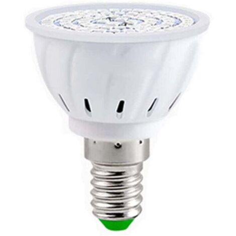Ampoule LED E14 220V 80W pour Plantes d'Intérieur Serre Hydroponique et Fleurs