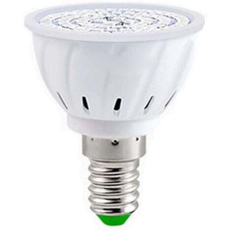 Ampoule LED E14 220V 80W pour Plantes d'Intérieur Serre Hydroponique et Fleurs