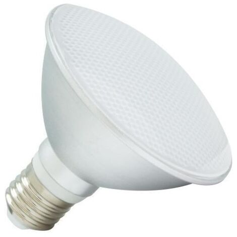 Ampoule LED E27 10W 900 lm PAR30 IP65 5000K Blanc froid