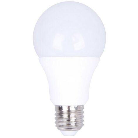 EUROPALAMP Ampoule LED E27 12W Blanc Froid 6000K Haute Luminosité