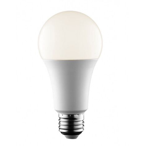 Ampoule LED E27 14W A65 1400 lumens - Blanc Neutre