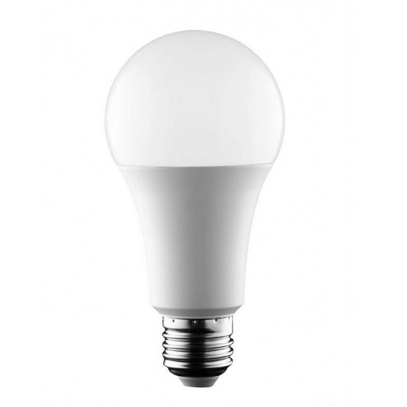 Ampoule LED E27 14W A65 | Blanc Froid