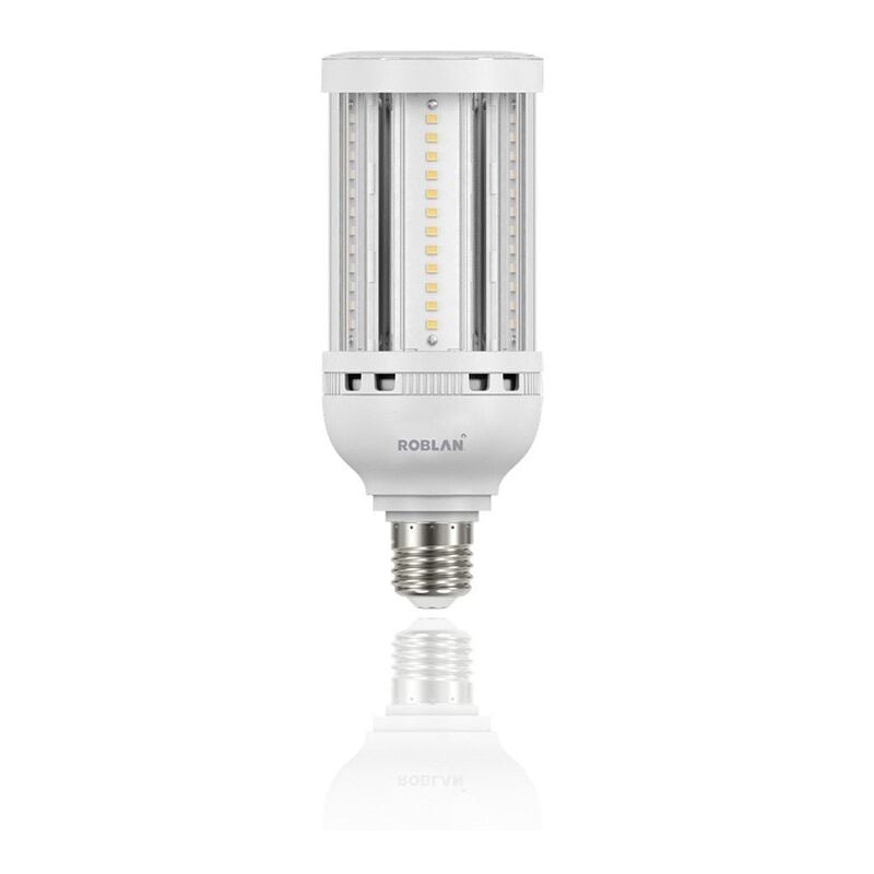 Roblan - Ampoule Led haute puissance E40 54W