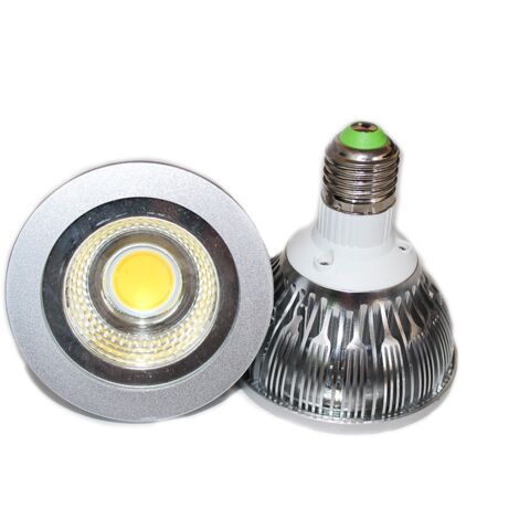 Ampoule LED Professionnelle PAR30 E27 12W