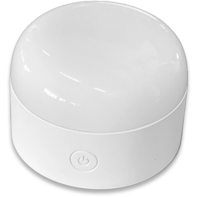 Ampoule led rechargeable mini lys Blanc