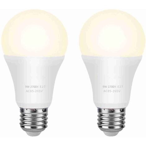 Ampoule néon LED, économie d'énergie, polyvalente, peut être utilisée dans les garages, les jardins, les cours