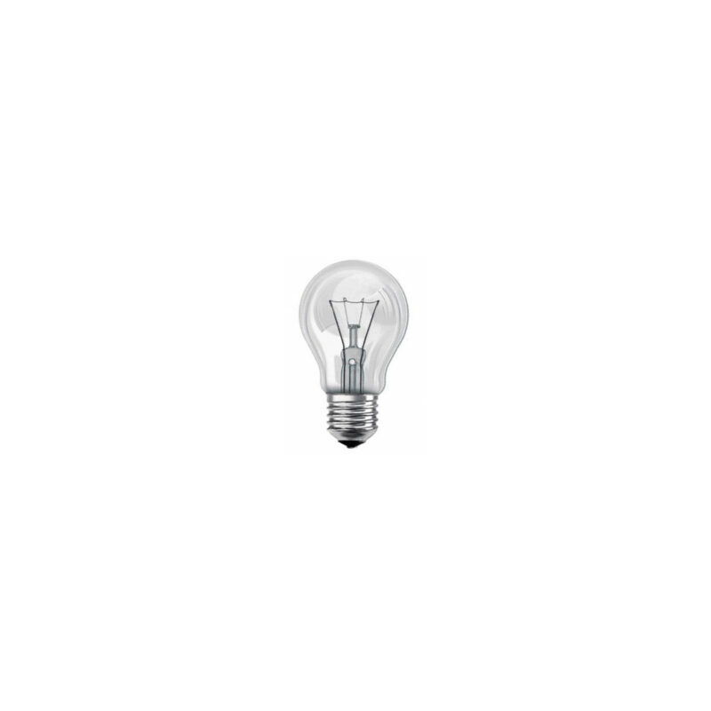 Orbitec - Ampoule spéciale four 300° 24V 60W cuLot E27