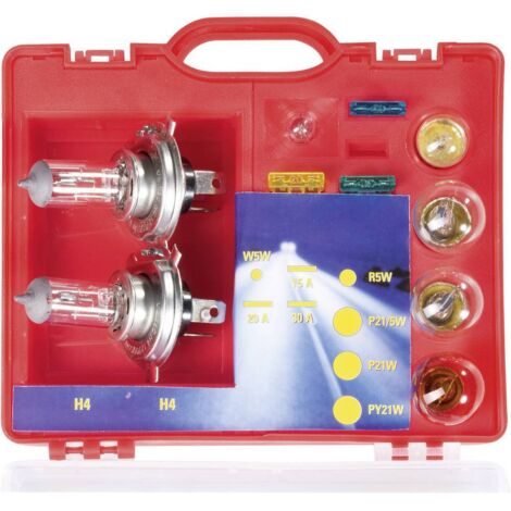 Ampoule UNIVERSEL GL1299