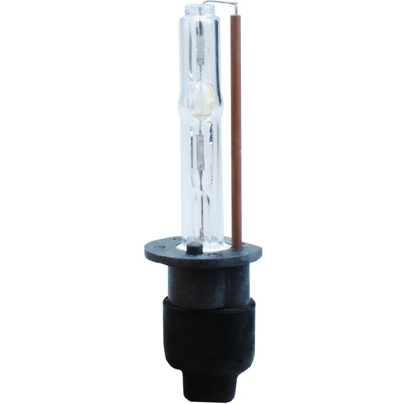 Ampoule XENON HID H1 8000K
