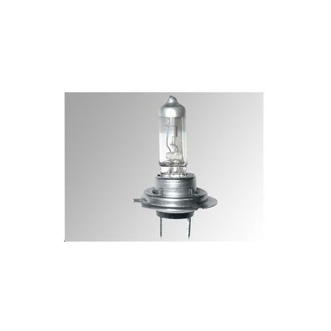 H7 Lampe 12V. 100W PX26D - 4,93 EUR