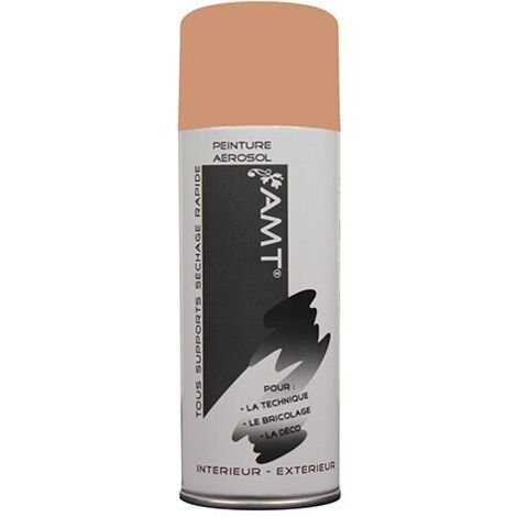 AMT Aérosol Couleur Blush Mat (BPA007) 0,330 L