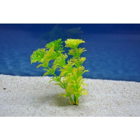 Amtra Cabomba S 12cm – Künstliche Aquarienpflanze für Dekoration