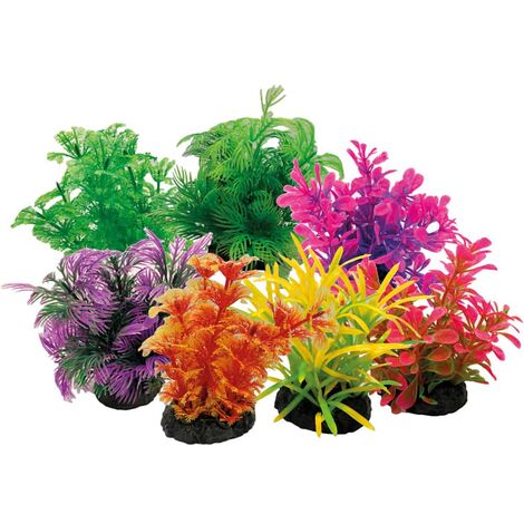 AMTRA TROPICAL PLANT 8 cm