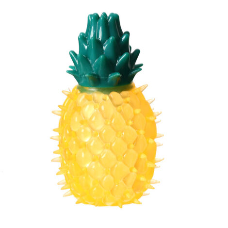 Ananas congelé comme jouet pour animaux de compagnie, jouet fruité