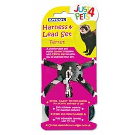 Ancol Ferret Harness And Lead Set - 2715537